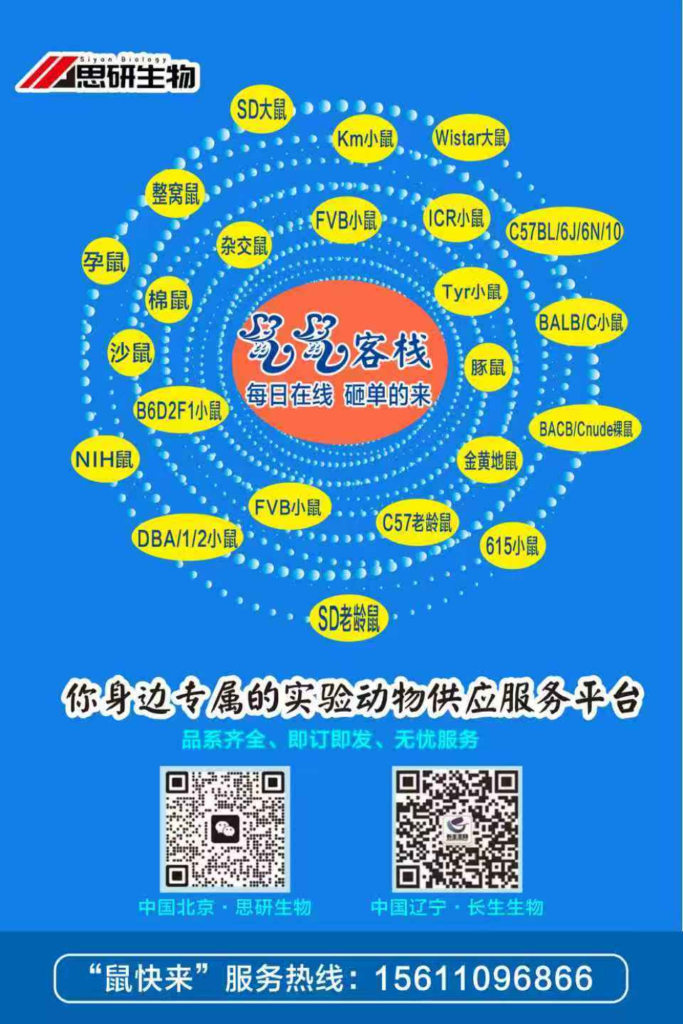 A1小版.jpg